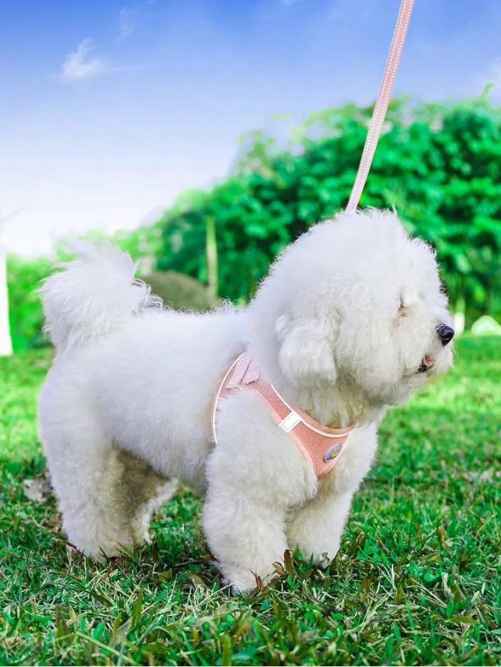 Pink Breathable Mesh Pet Harness with Logo
